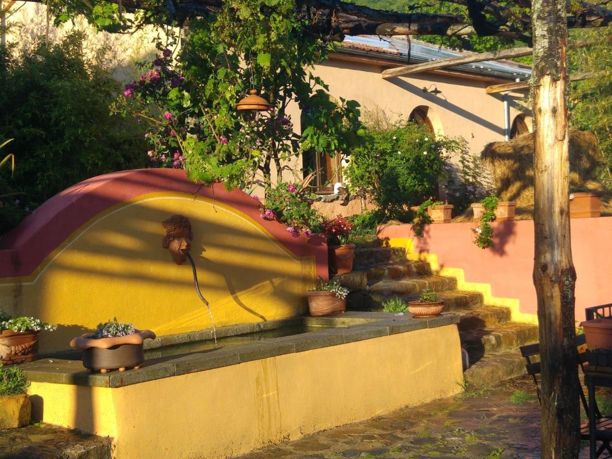 Podere Di Maggio - Glamping Tent 2 Santa Fiora Zewnętrze zdjęcie