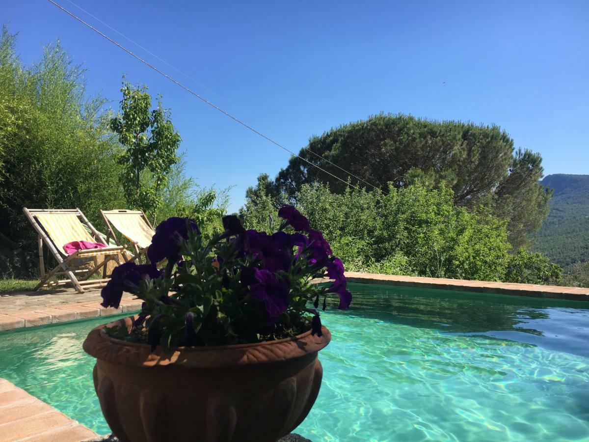 Podere Di Maggio - Glamping Tent 2 Santa Fiora Zewnętrze zdjęcie